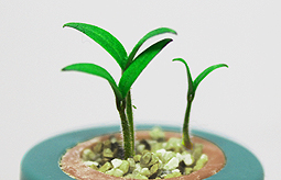 サンプルイメージ